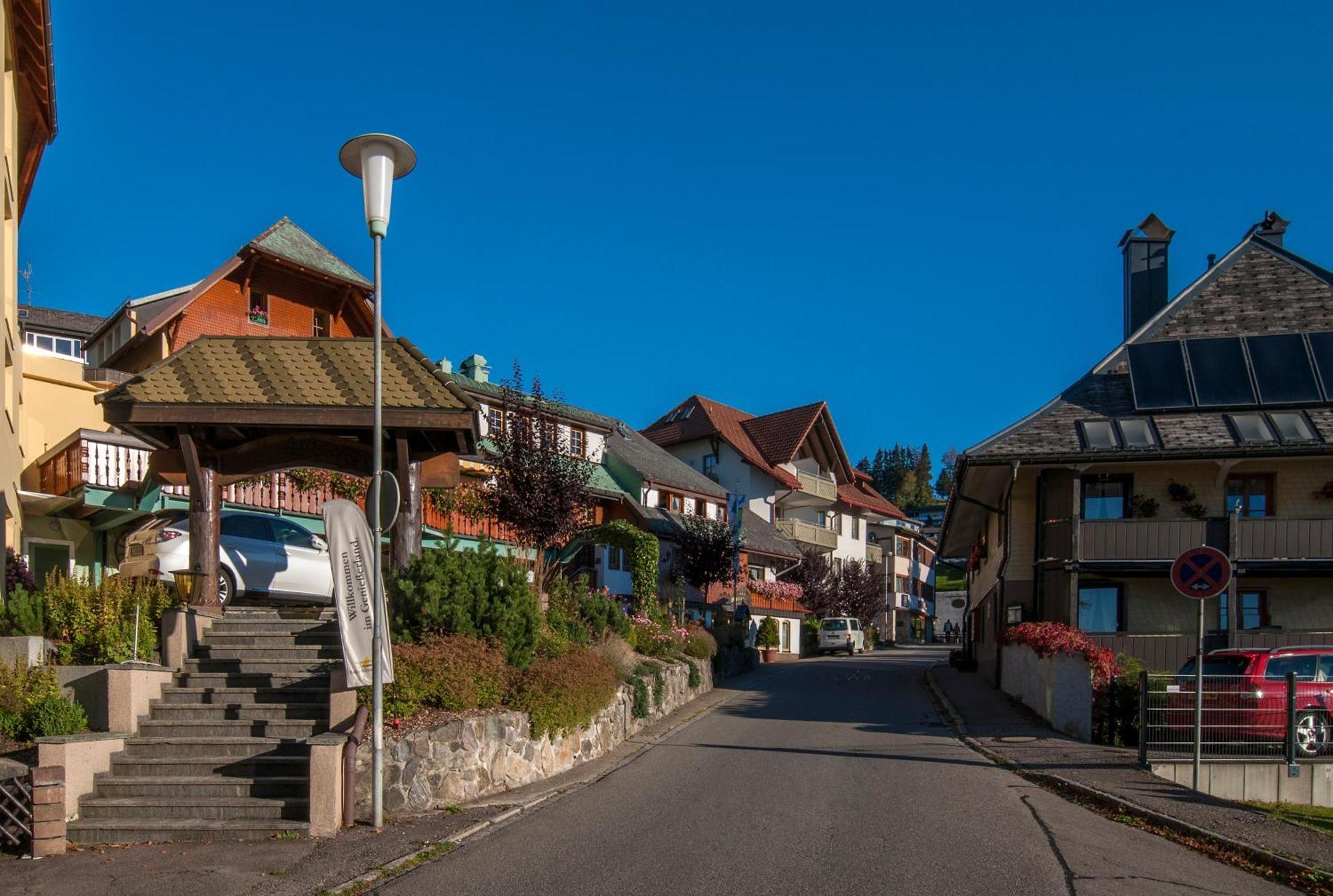 Apartment 06 - Ferienresidenz Roseneck, 2 Schlafzimmer, Mit Schwimmbad In Todtnauberg Bei Feldberg 외부 사진
